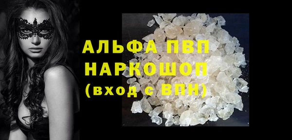 гидра Алексин