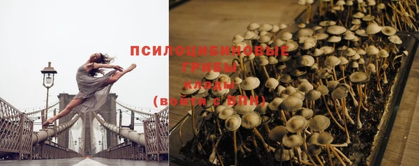 винт Алзамай