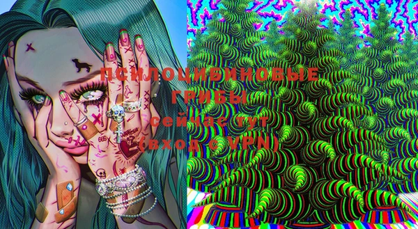 винт Алзамай