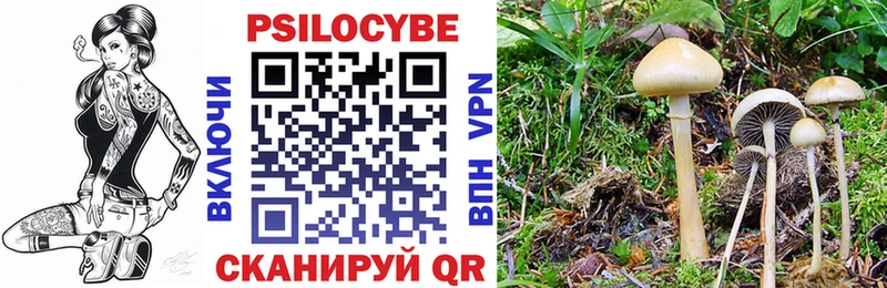 blacksprut рабочий сайт  Североуральск  Псилоцибиновые грибы Cubensis  цена наркотик 