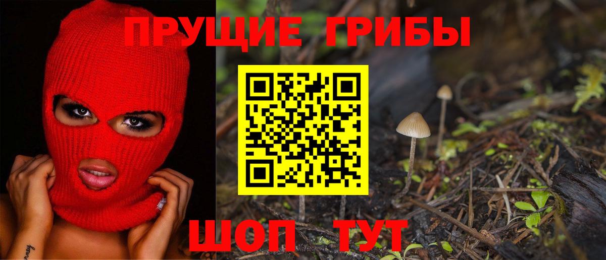 Псилоцибиновые грибы MAGIC MUSHROOMS  Вход с VPN  Североуральск  Галлюциногенные грибы Magic Shrooms 