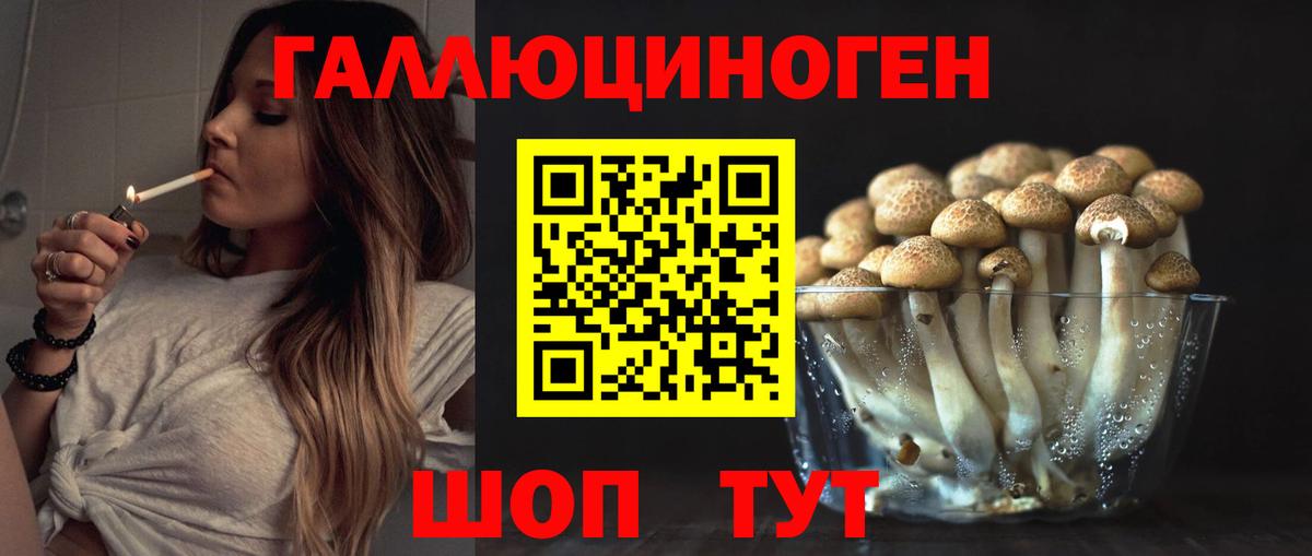 Псилоцибиновые грибы мицелий Североуральск